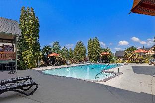 best western windsor inn