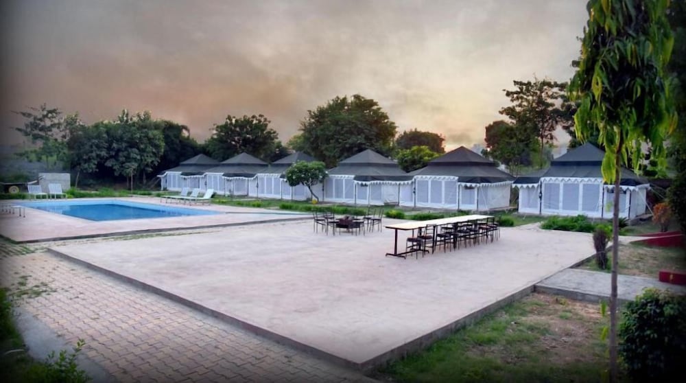 the tiger queen ranthambore