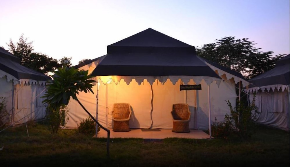 the tiger queen ranthambore