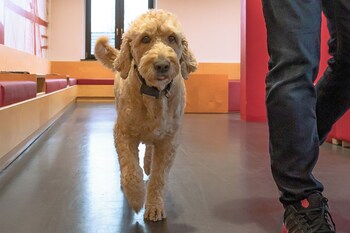 havenhostel bremerhaven