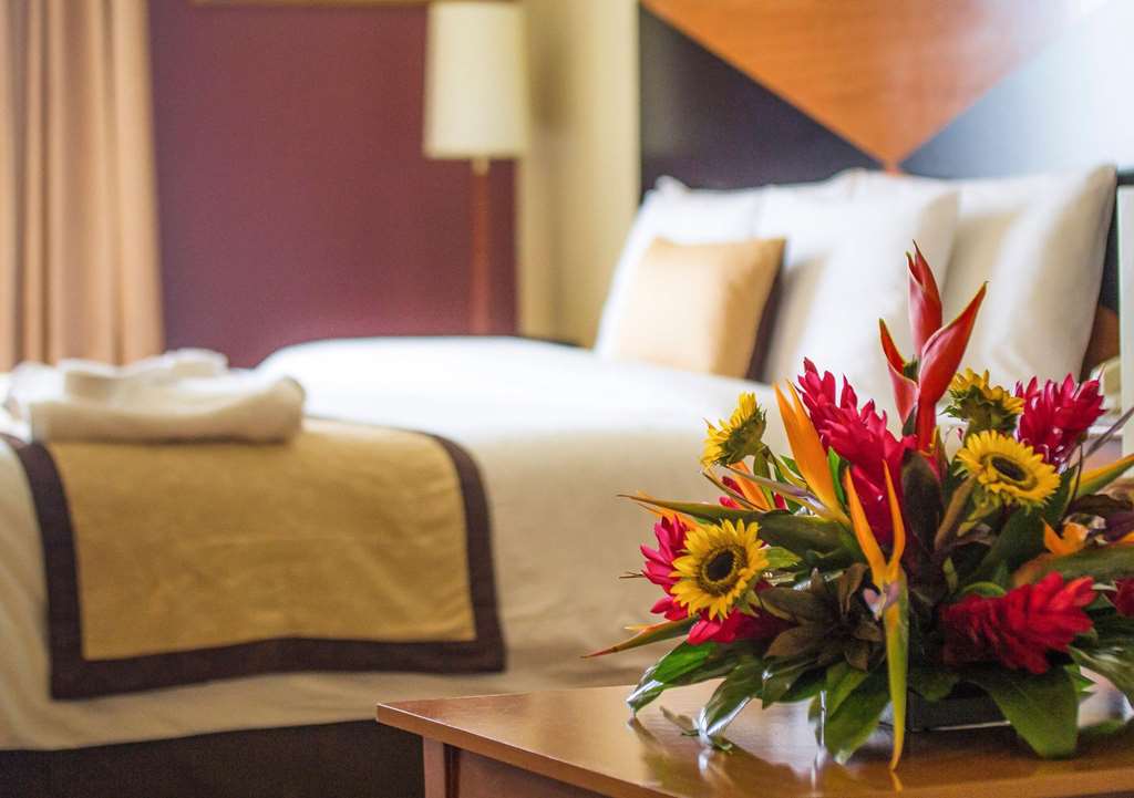 sleep inn hotel paseo las damas