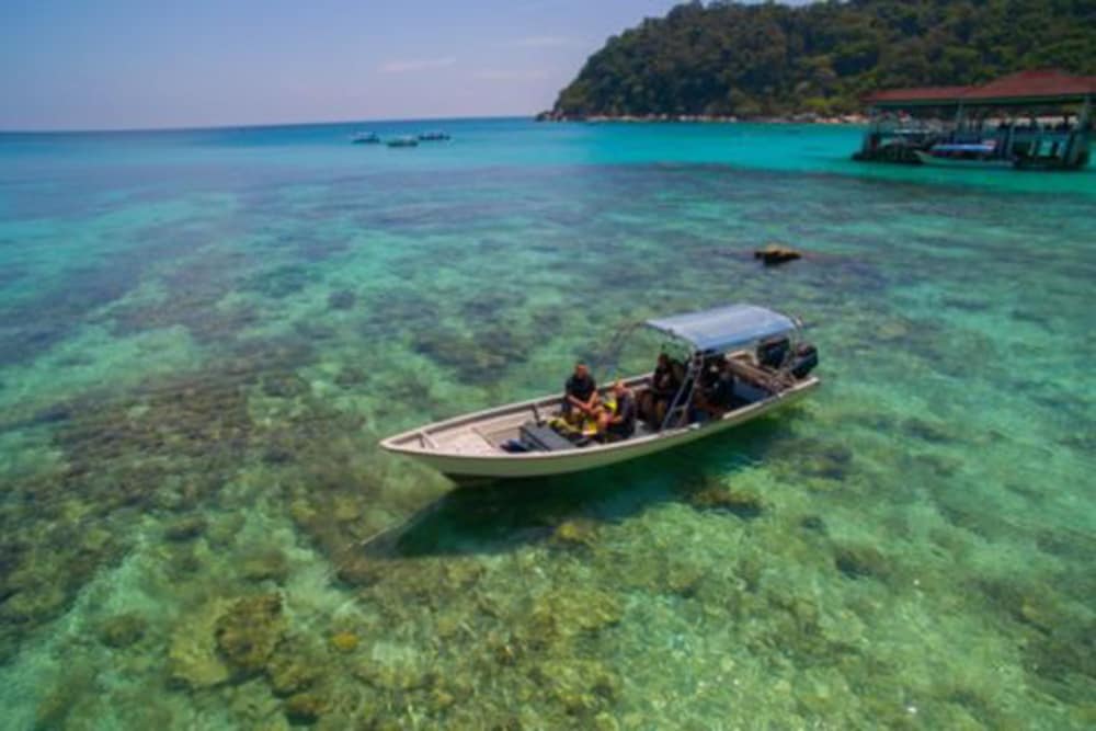 coral view island resort