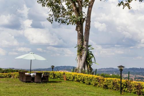cassia lodge