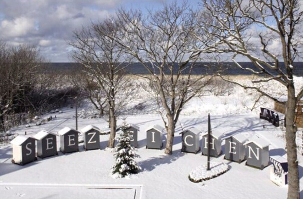 ostseebad ahrenshoop