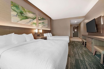best western plus grand rapids mn