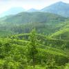 elysium gardens hill resorts