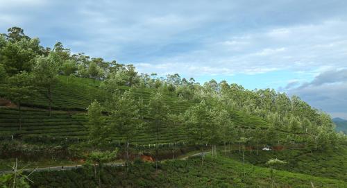 elysium gardens hill resorts