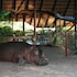 mukambi safari lodge