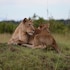 mukambi safari lodge