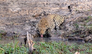 mukambi safari lodge