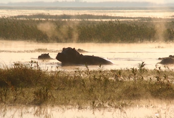 mukambi safari lodge