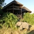 kafue national park
