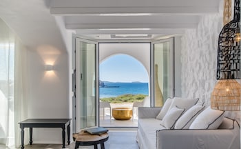 cyano suites