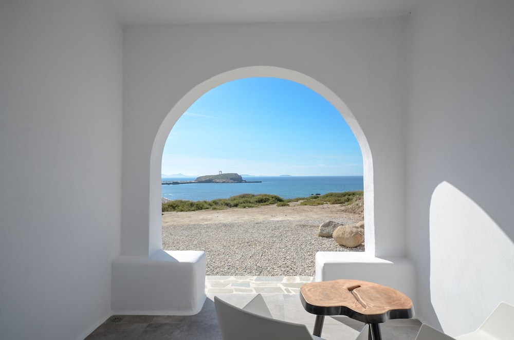 cyano suites