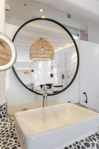 cyano suites