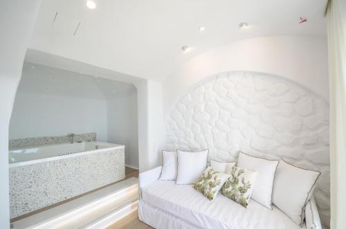 cyano suites