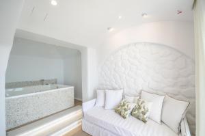 cyano suites