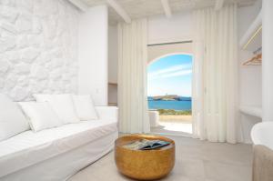 cyano suites
