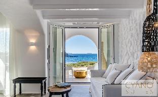 cyano suites