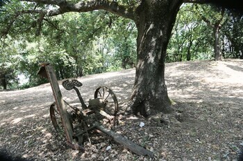 collina toscana resort