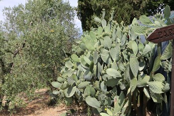 collina toscana resort