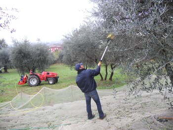 collina toscana resort