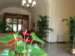 albergo roma