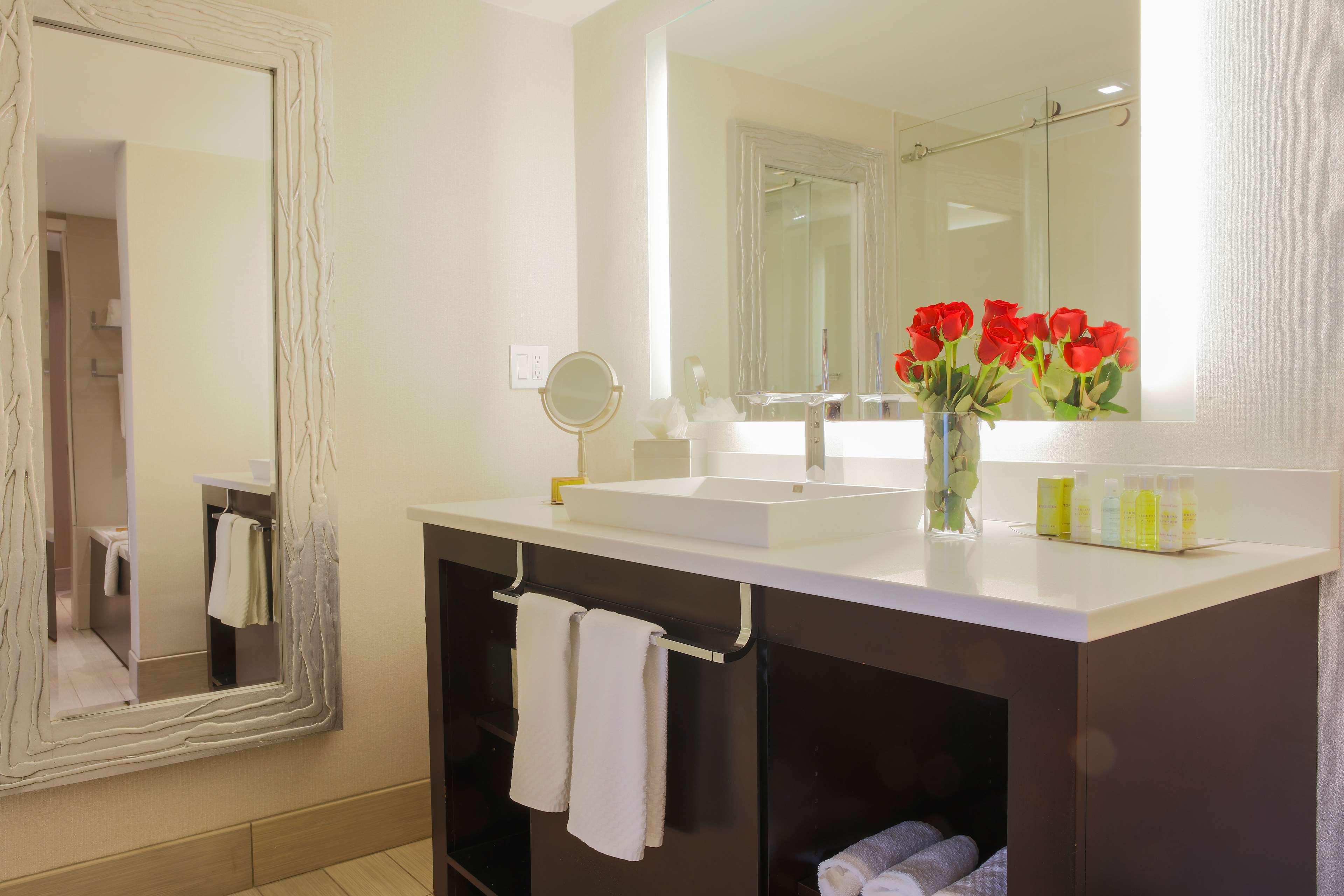doubletree by hilton rochester