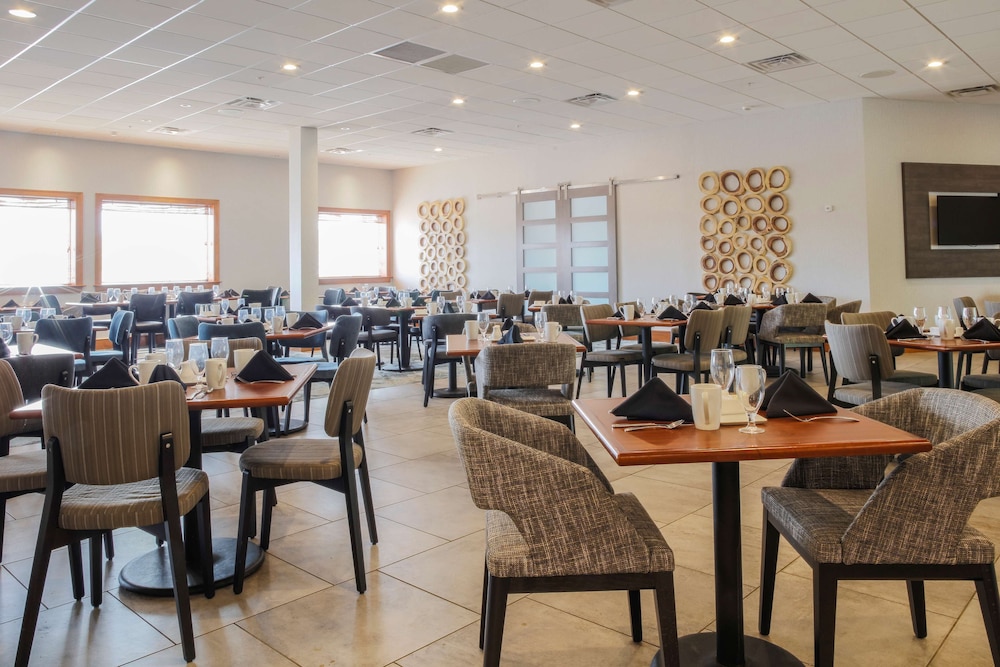 doubletree by hilton rochester