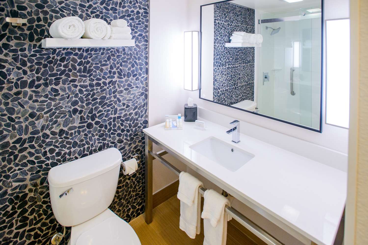 hilton garden inn rochester downtown mn