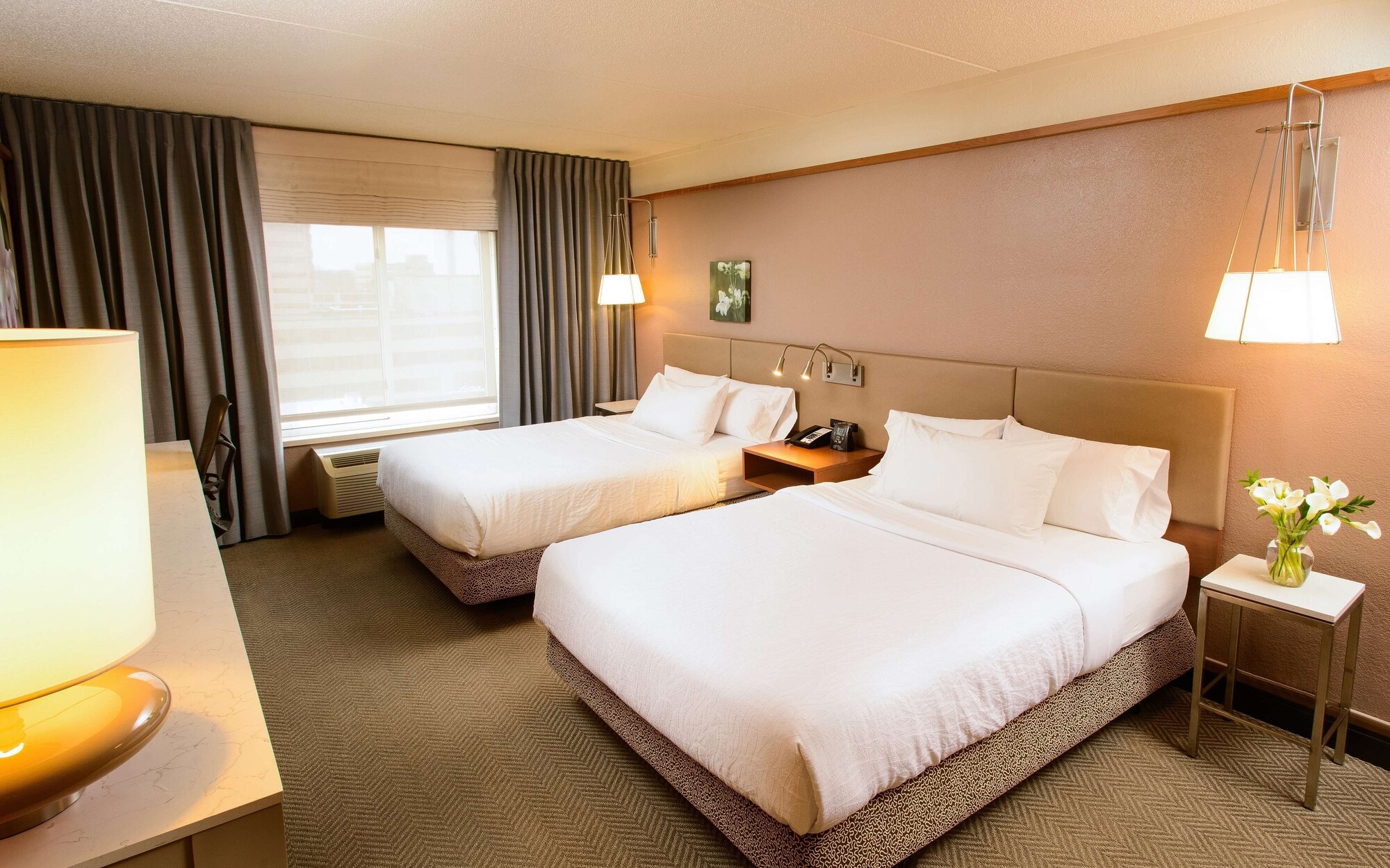 hilton garden inn rochester downtown mn