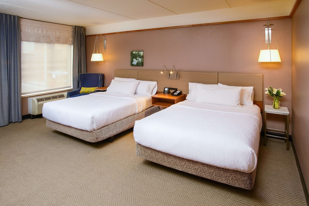 hilton garden inn rochester downtown mn