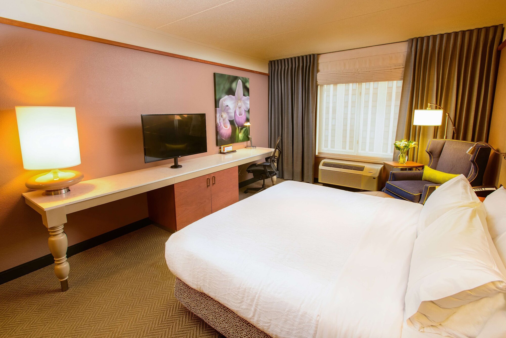 hilton garden inn rochester downtown mn