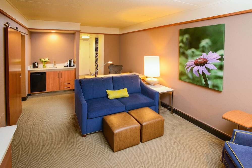 hilton garden inn rochester downtown mn