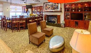 hilton garden inn rochester downtown mn