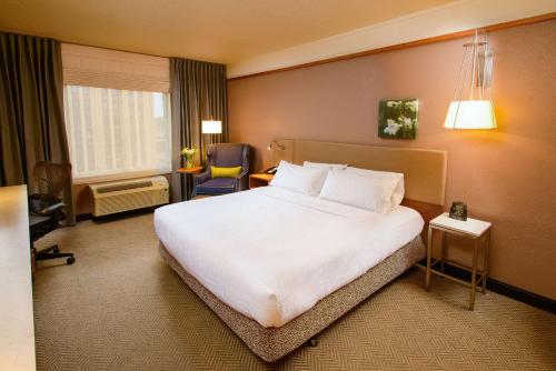 hilton garden inn rochester downtown mn