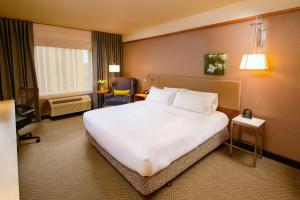 hilton garden inn rochester downtown mn
