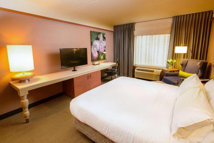 hilton garden inn rochester downtown mn