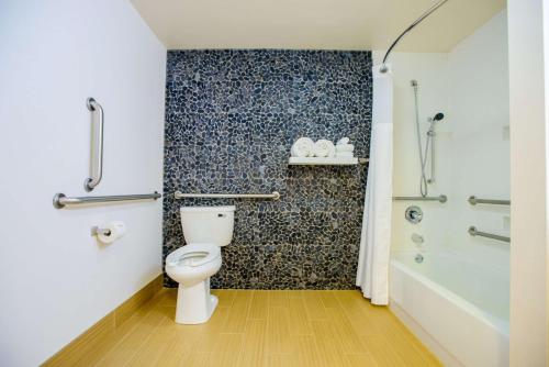 hilton garden inn rochester downtown mn