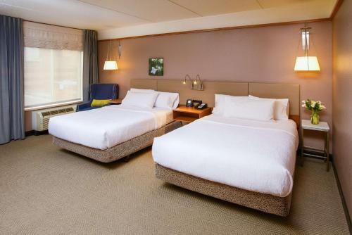 hilton garden inn rochester downtown mn