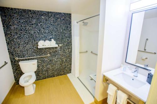 hilton garden inn rochester downtown mn