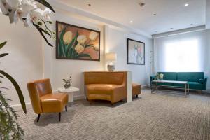 bonanova suite hotel