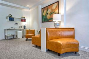 bonanova suite hotel