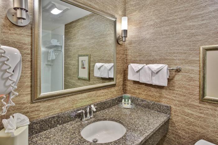 holiday inn detroit metro airport by ihg