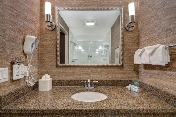 holiday inn detroit metro airport by ihg