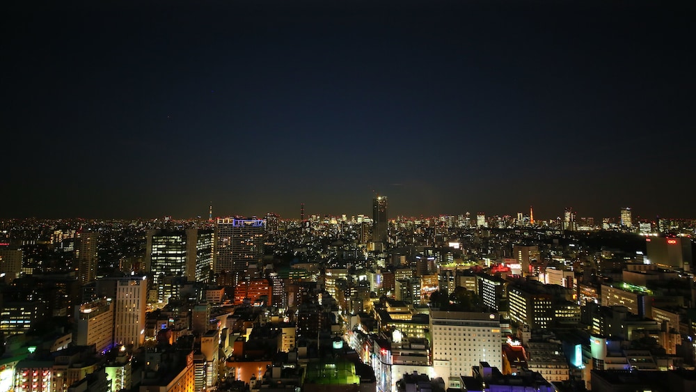 hotel gracery shinjuku