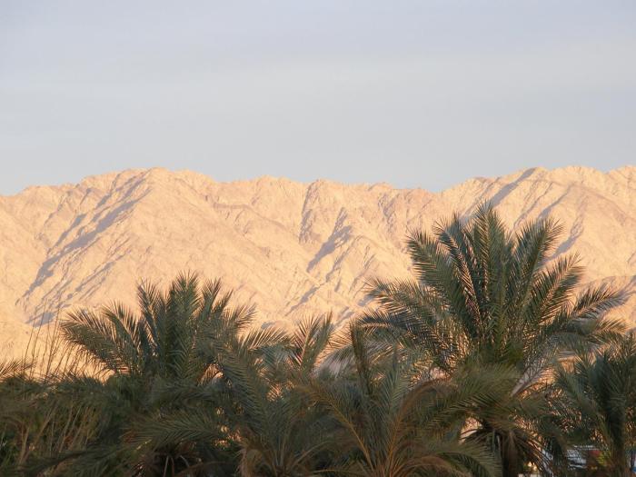 dan eilat