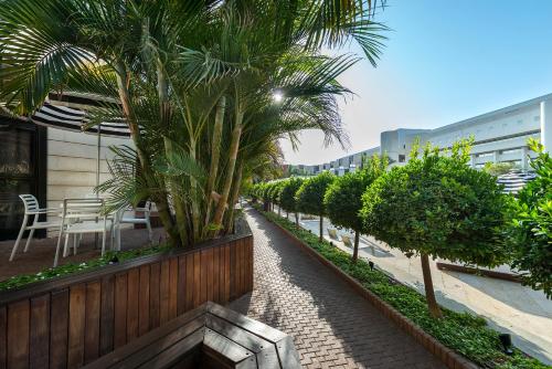 riviera by isrotel collection