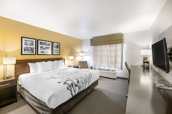 sleep inn and suites carlsbad caverns area