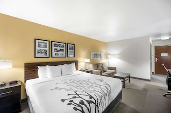 sleep inn and suites carlsbad caverns area